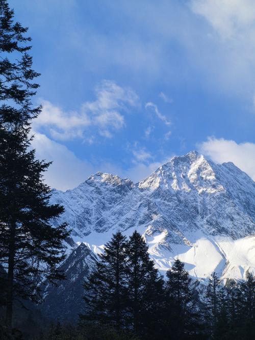Contestant poisoned after eating toxic plant in Zhangjiajie survival challenge